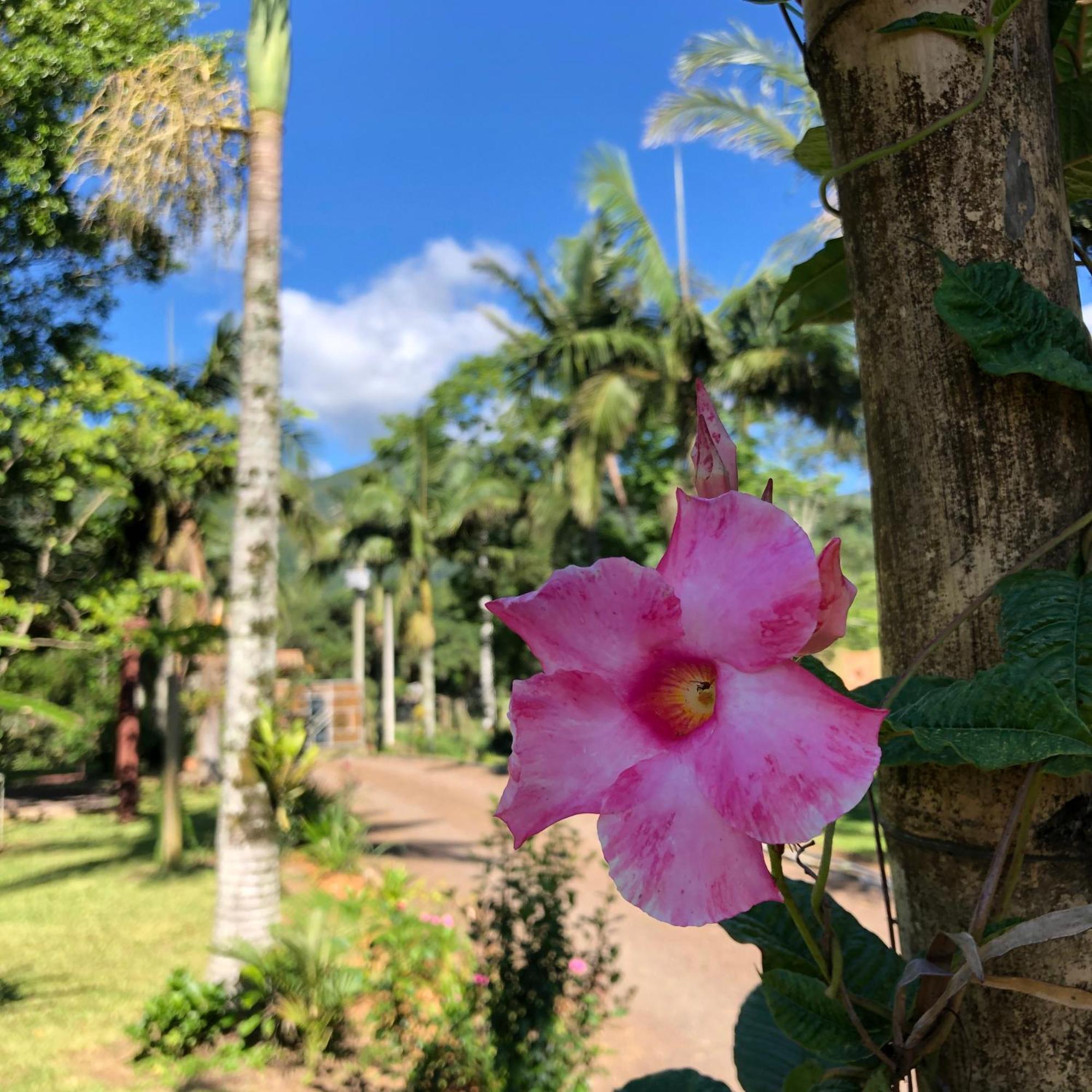 Pousada Vo Liane Praia Grande  Buitenkant foto