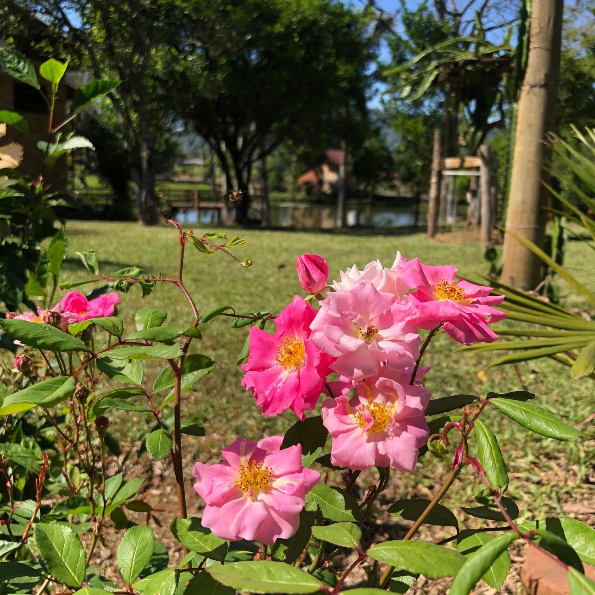 Pousada Vo Liane Praia Grande  Buitenkant foto